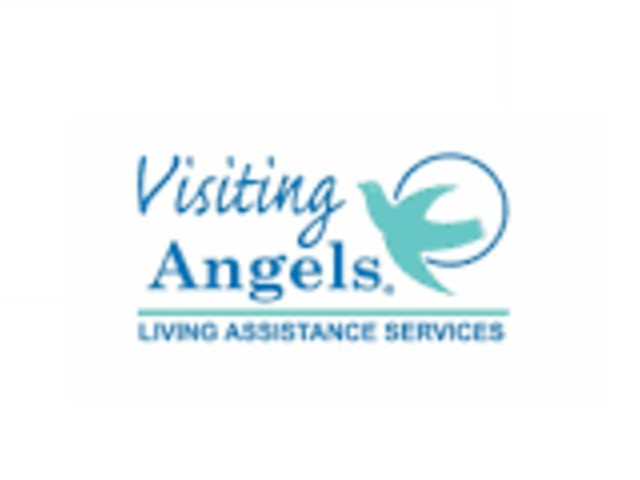 Visiting Angels The Villages
